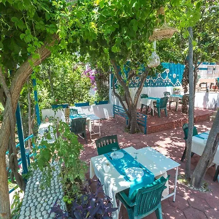 Sardunya Andifli 4* Kaş