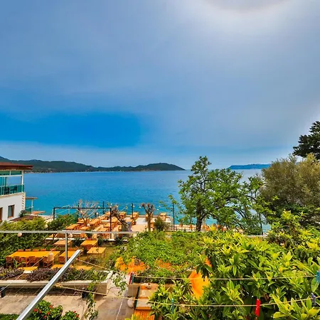 Sardunya Andifli Kaş