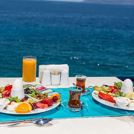 Sardunya Andifli Kaş