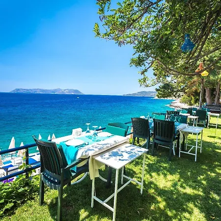 Sardunya Andifli 2* Kaş