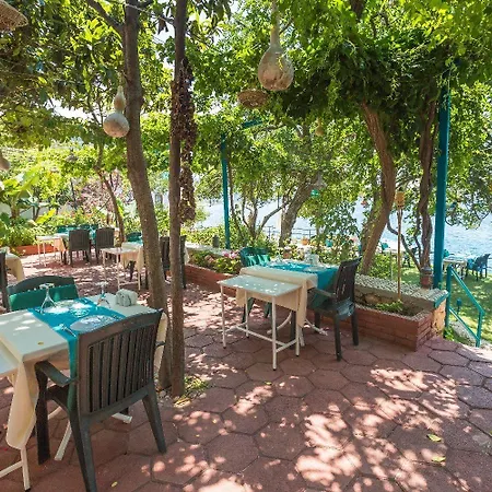 Szálloda Sardunya Andifli