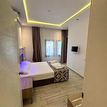 Sardunya Andifli 4*