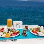 Sardunya Andifli Kaş